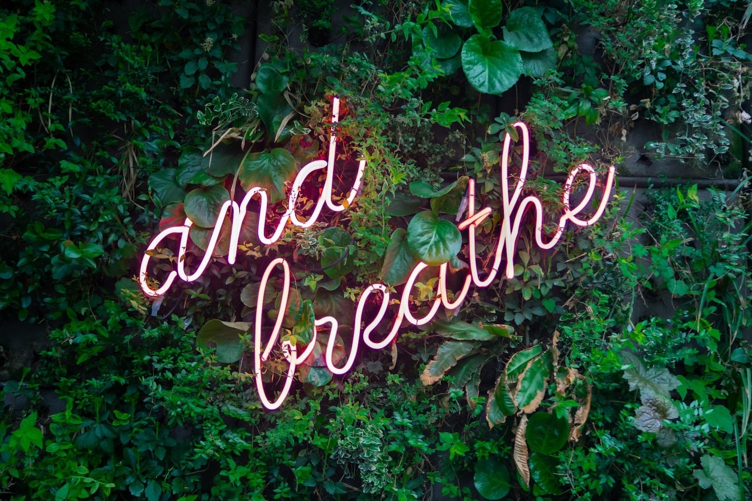 Prioritizing Your Mental Health Every Day
